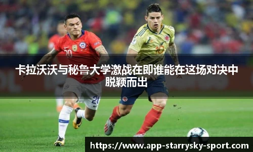 星空体育官网下载